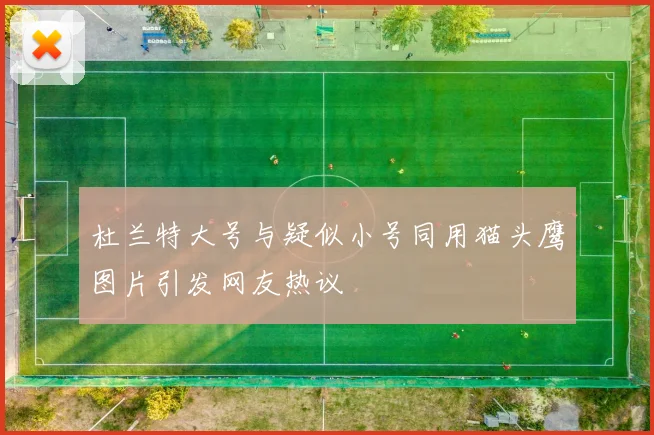 杜兰特大号与疑似小号同用猫头鹰图片引发网友热议